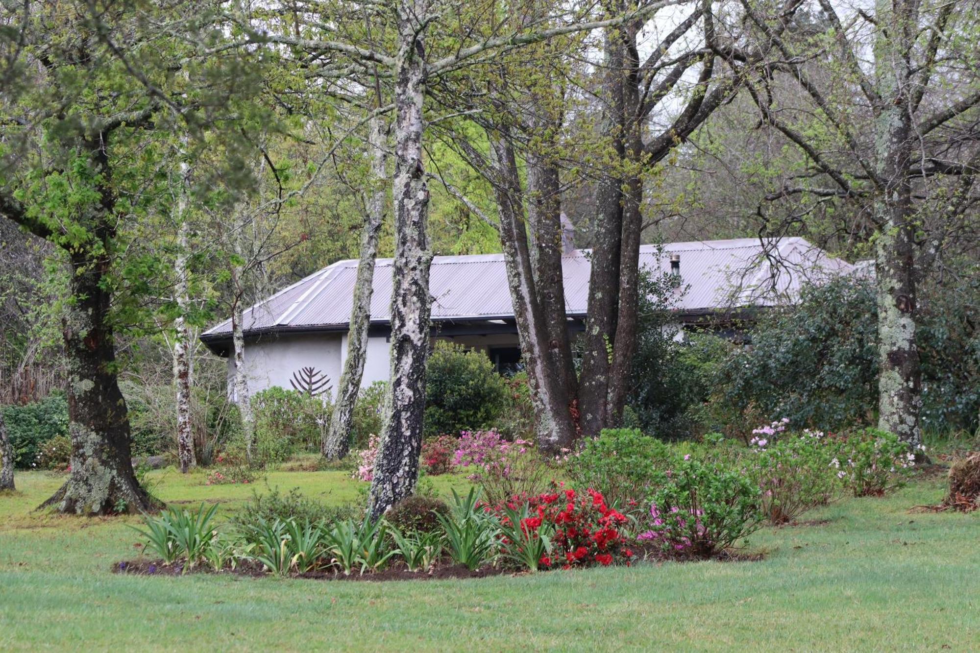 Bramber Cottage Hogsback, Living With Joy! מראה חיצוני תמונה